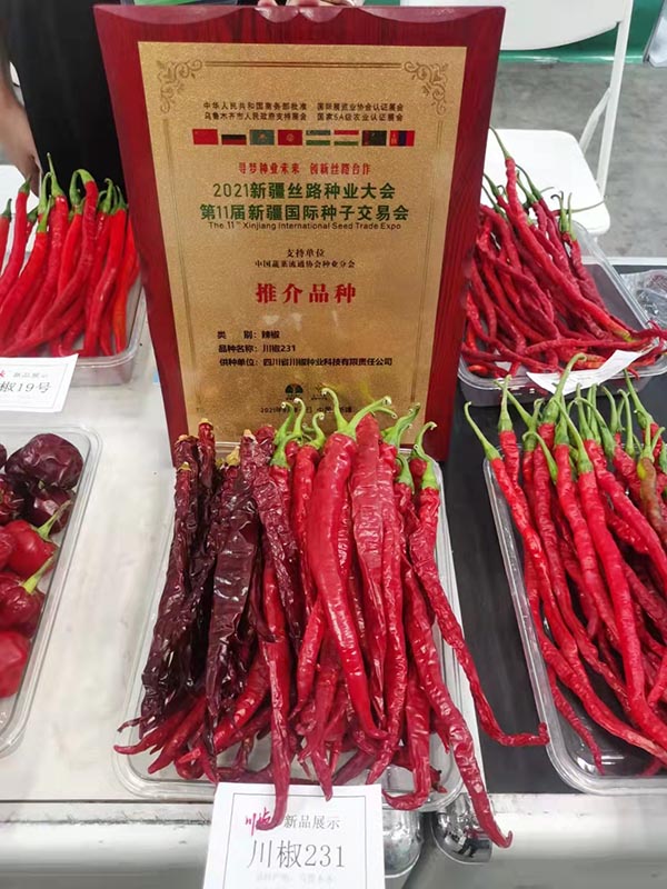 川椒种业  新疆丝路种业大会推介品种