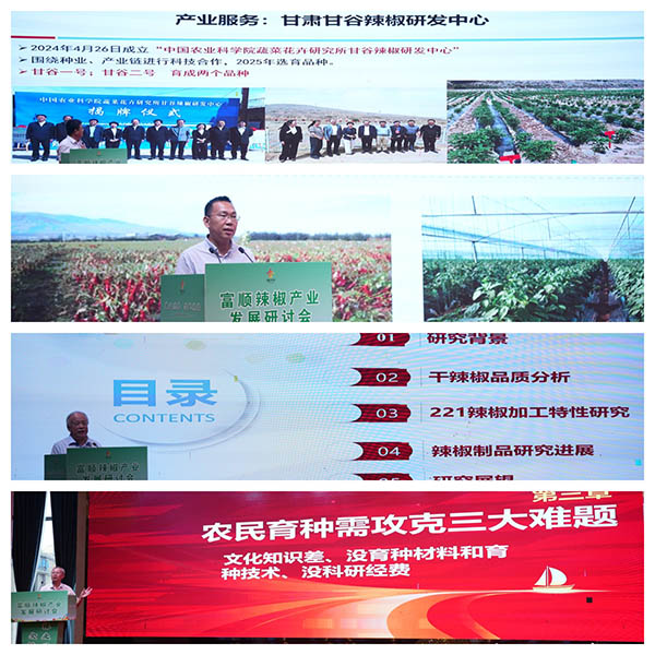 辣业兴农聚合力 全链共生谋发展——院士专家齐聚富顺,吹响辣椒产业高质量发展号角 辣业兴农聚合力 全链共生谋发展——院士专家齐聚富顺,吹响辣椒产业高质量发展号角